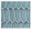 Conveyer Woven Netting